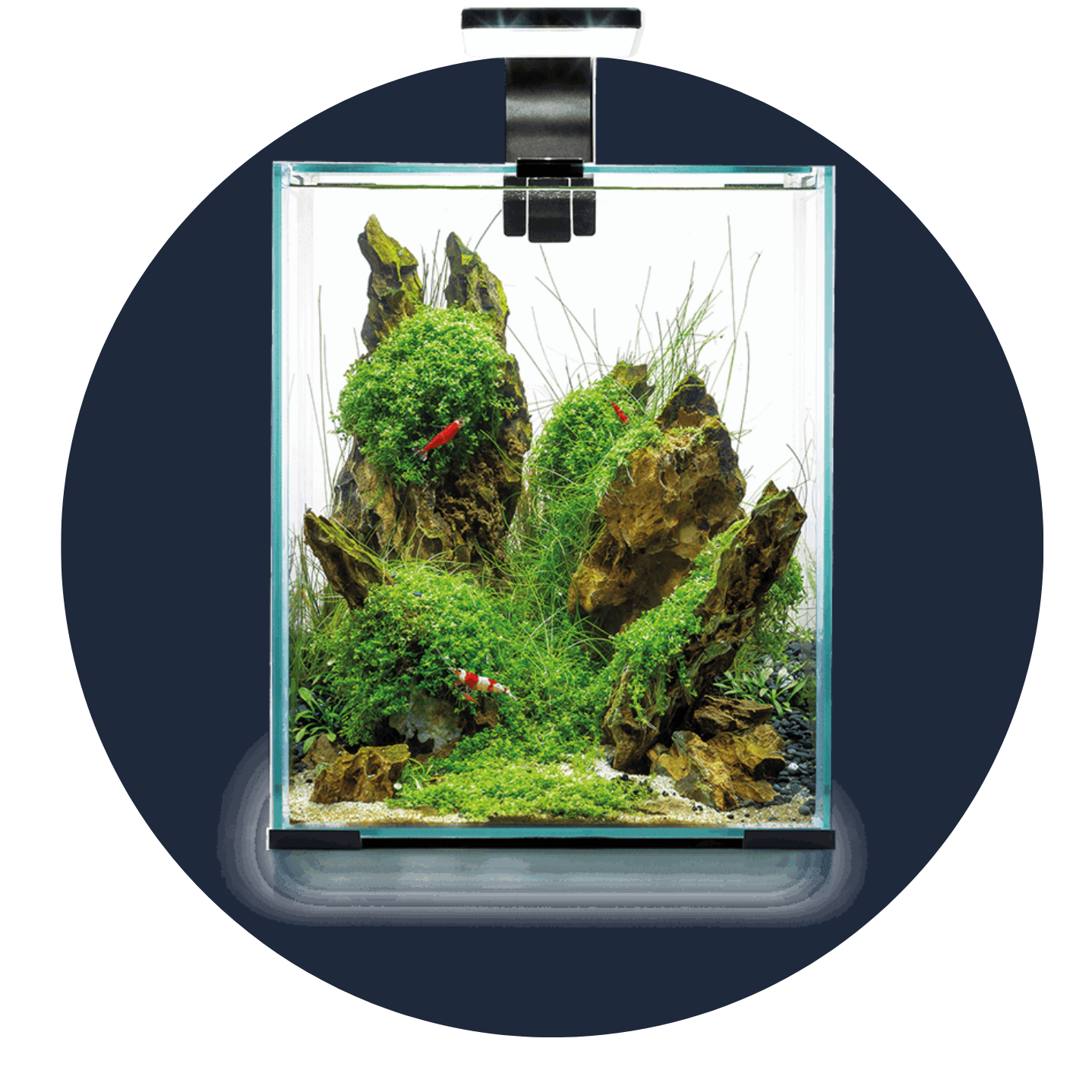 Aquarium Tank