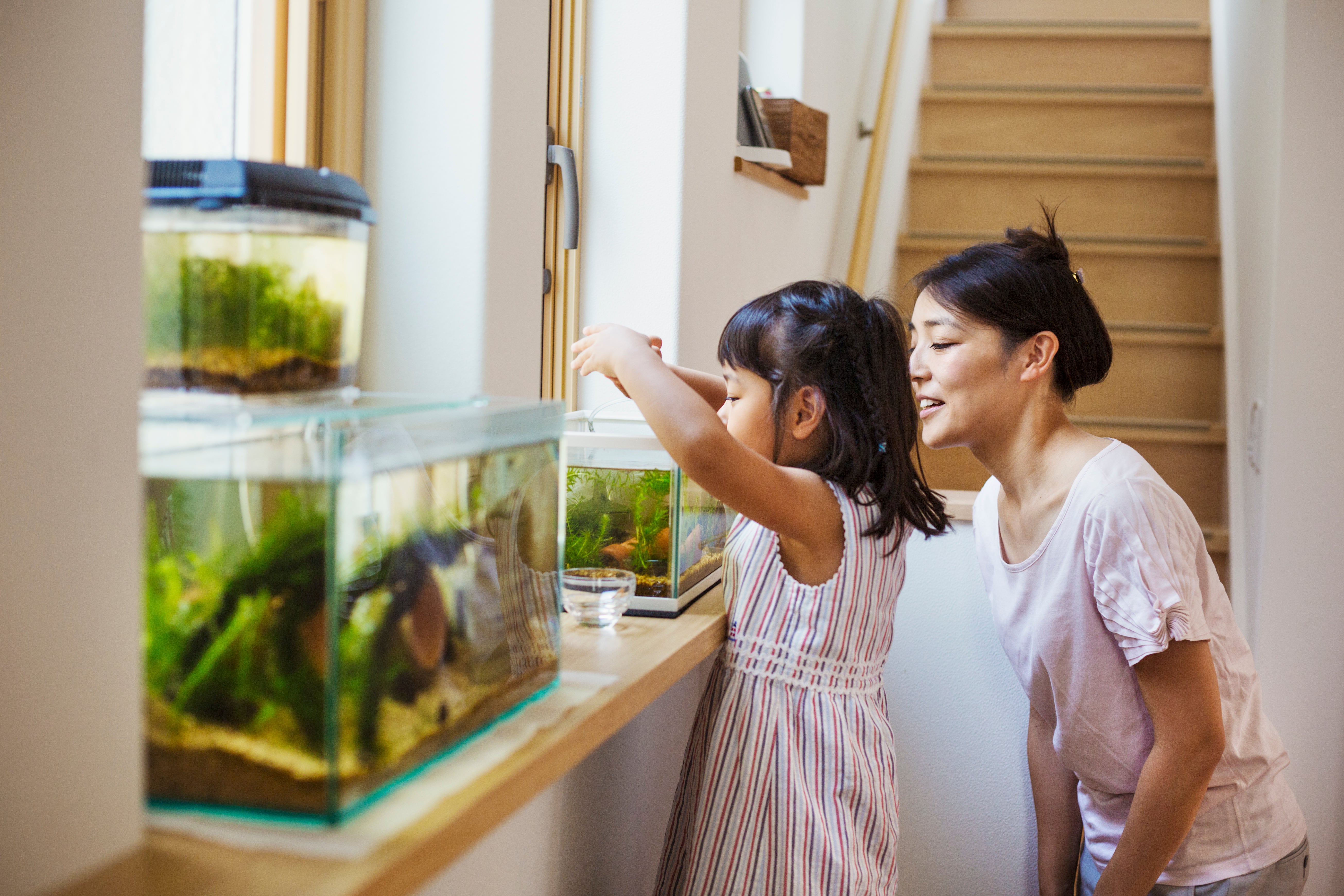 Shop aquarium supplies